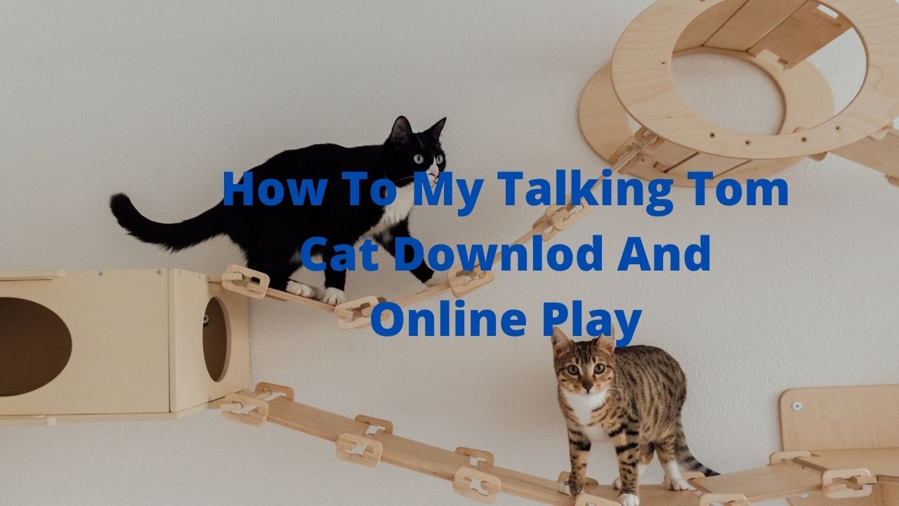 How To My Talking Tom Cat Downlod And Online Play