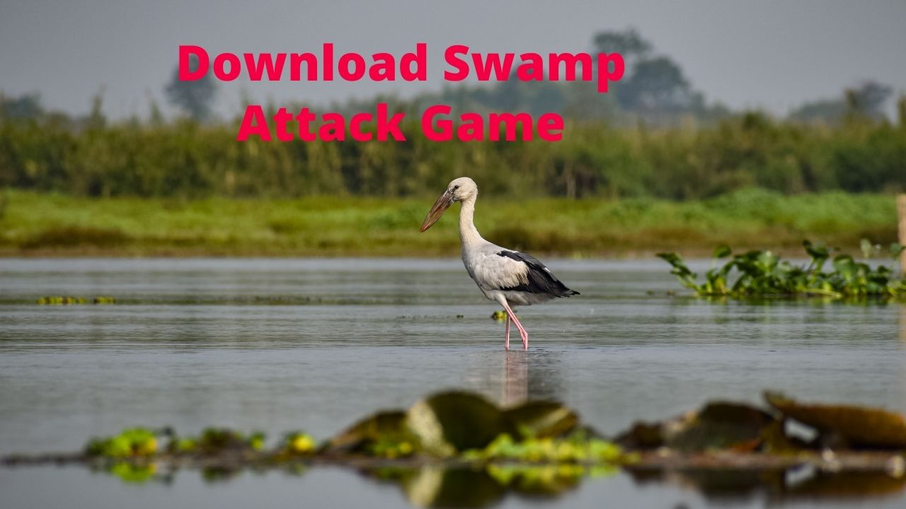 Download Swamp Attack Game
