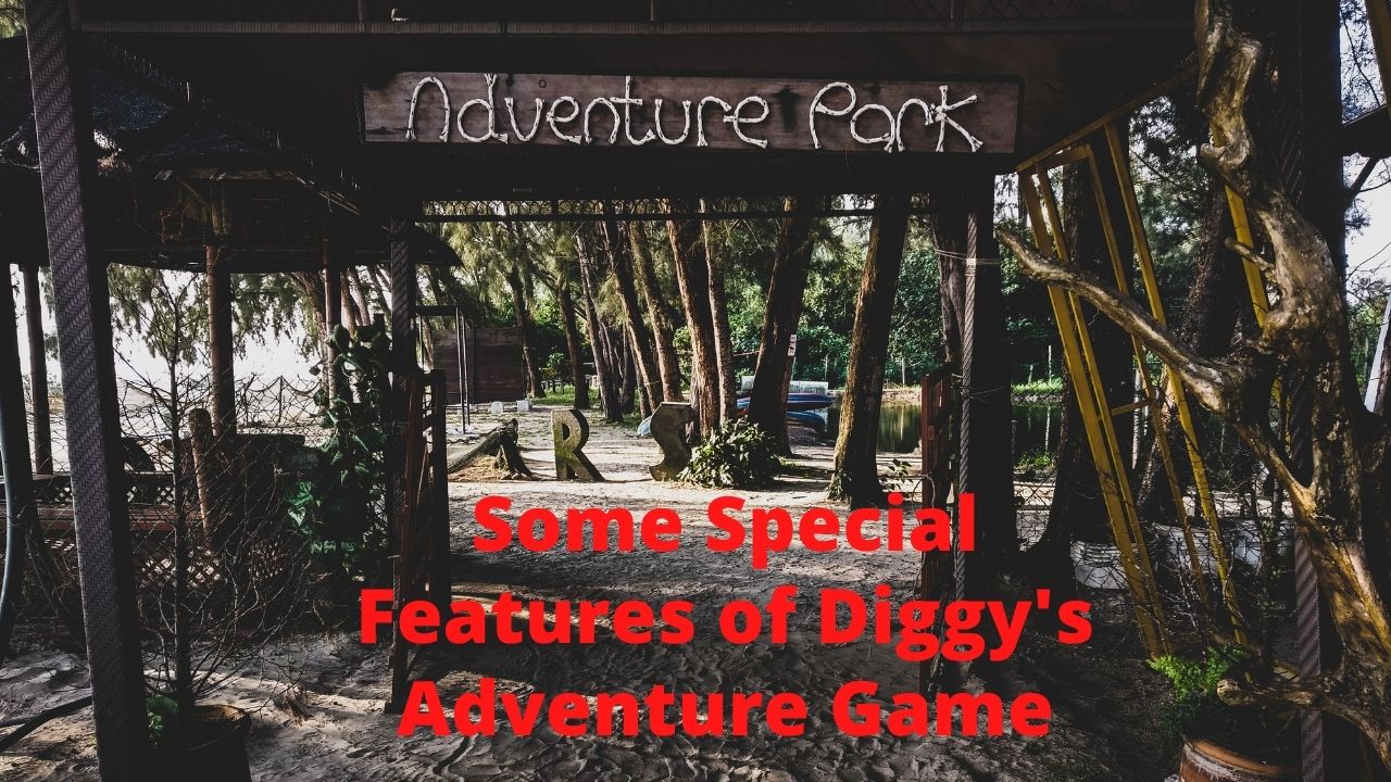 Some Special Features of Diggy's Adventure Game