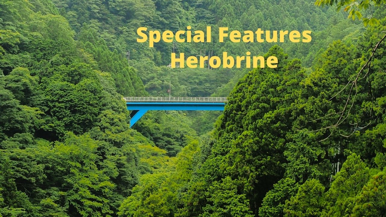 Special Features Herobrine