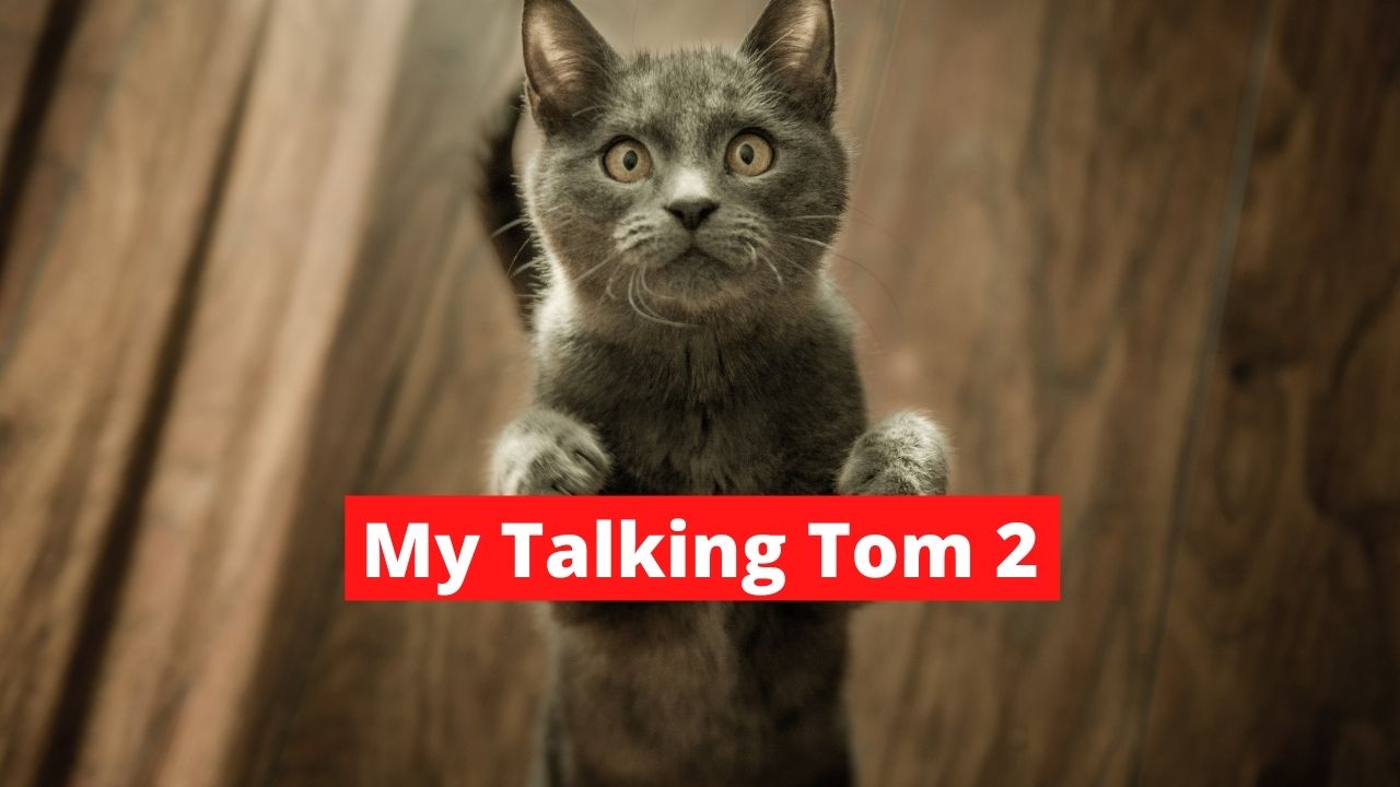 My Talking Tom 2