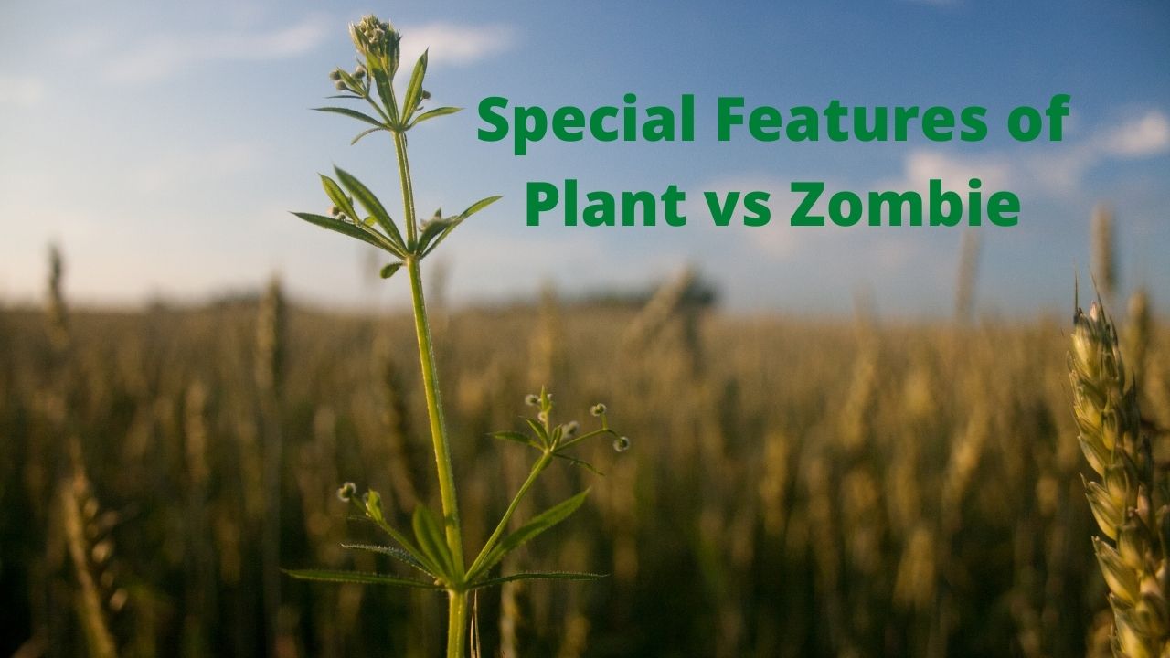 Special Features of Plant vs Zombie