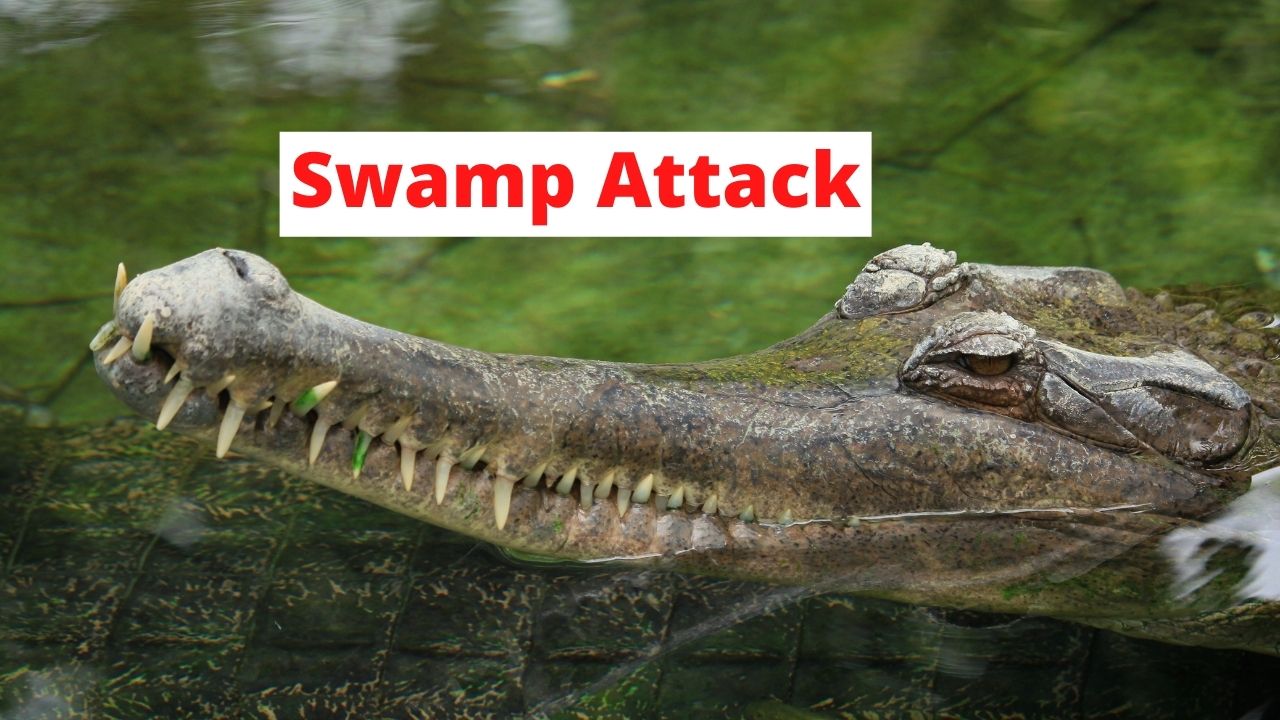 Swamp Attack