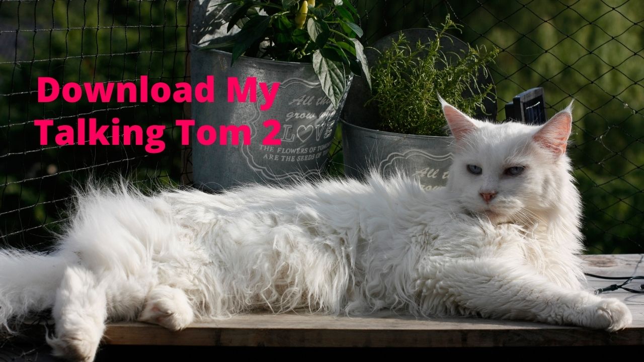 Download My Talking Tom 2