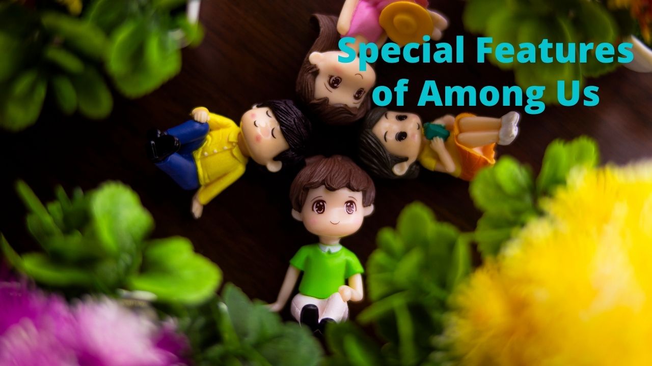 Special Features of Among Us