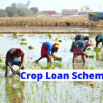 Crop Loan Scheme