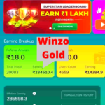 how to use winzo app