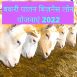 बकरी-पालन-बिज़नेस-लोन-योजनाएं-2022