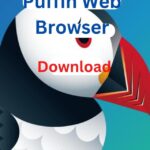 Puffin Web Browser Download